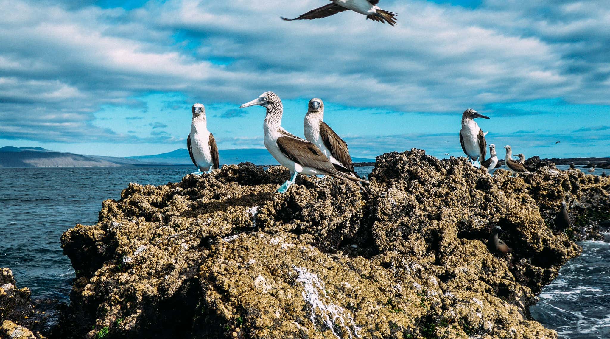 New Scientist. Science news and long reads from expert journalists, covering developments in science, technology, health and the environment on the website and the magazine.