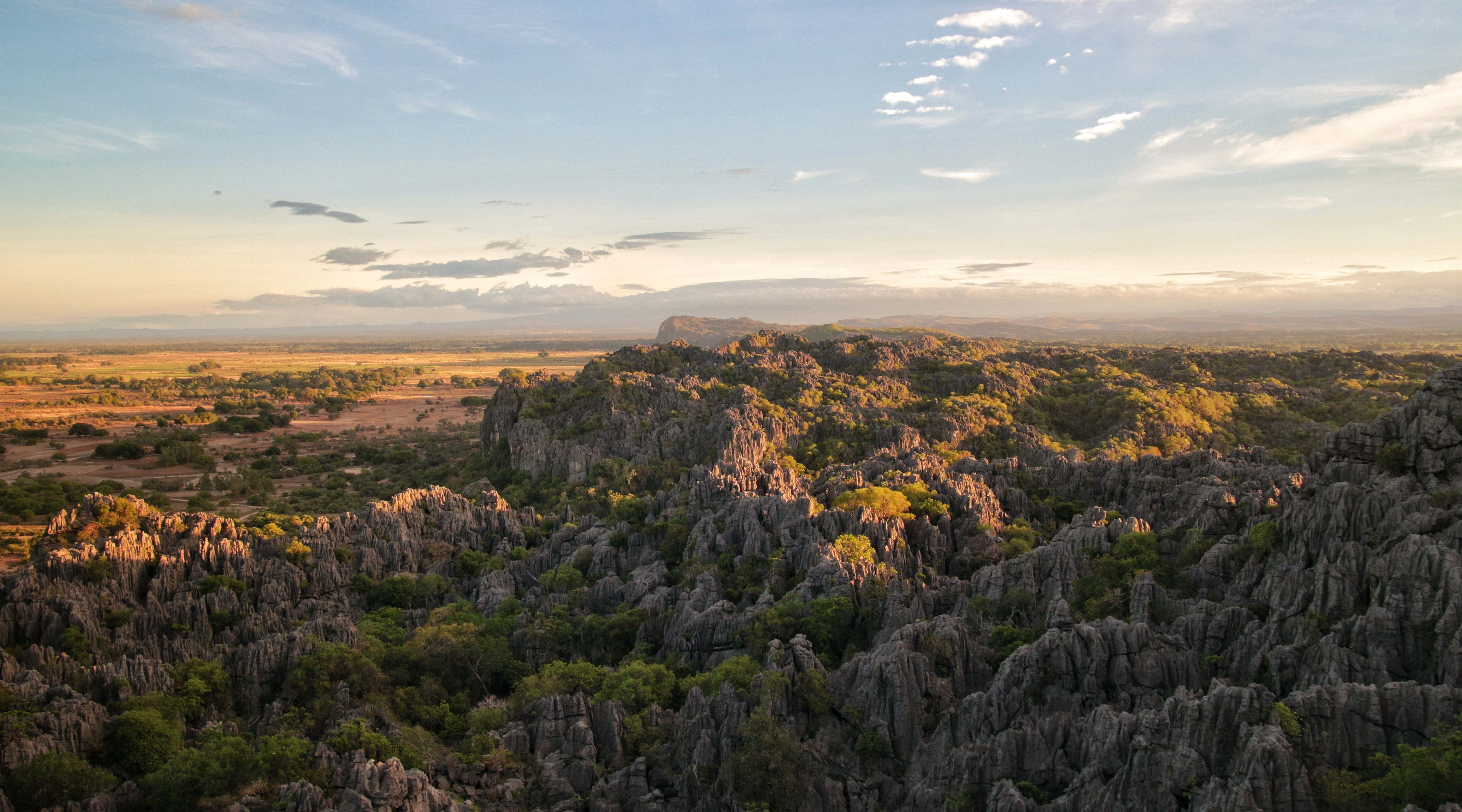 New Scientist. Science news and long reads from expert journalists, covering developments in science, technology, health and the environment on the website and the magazine.