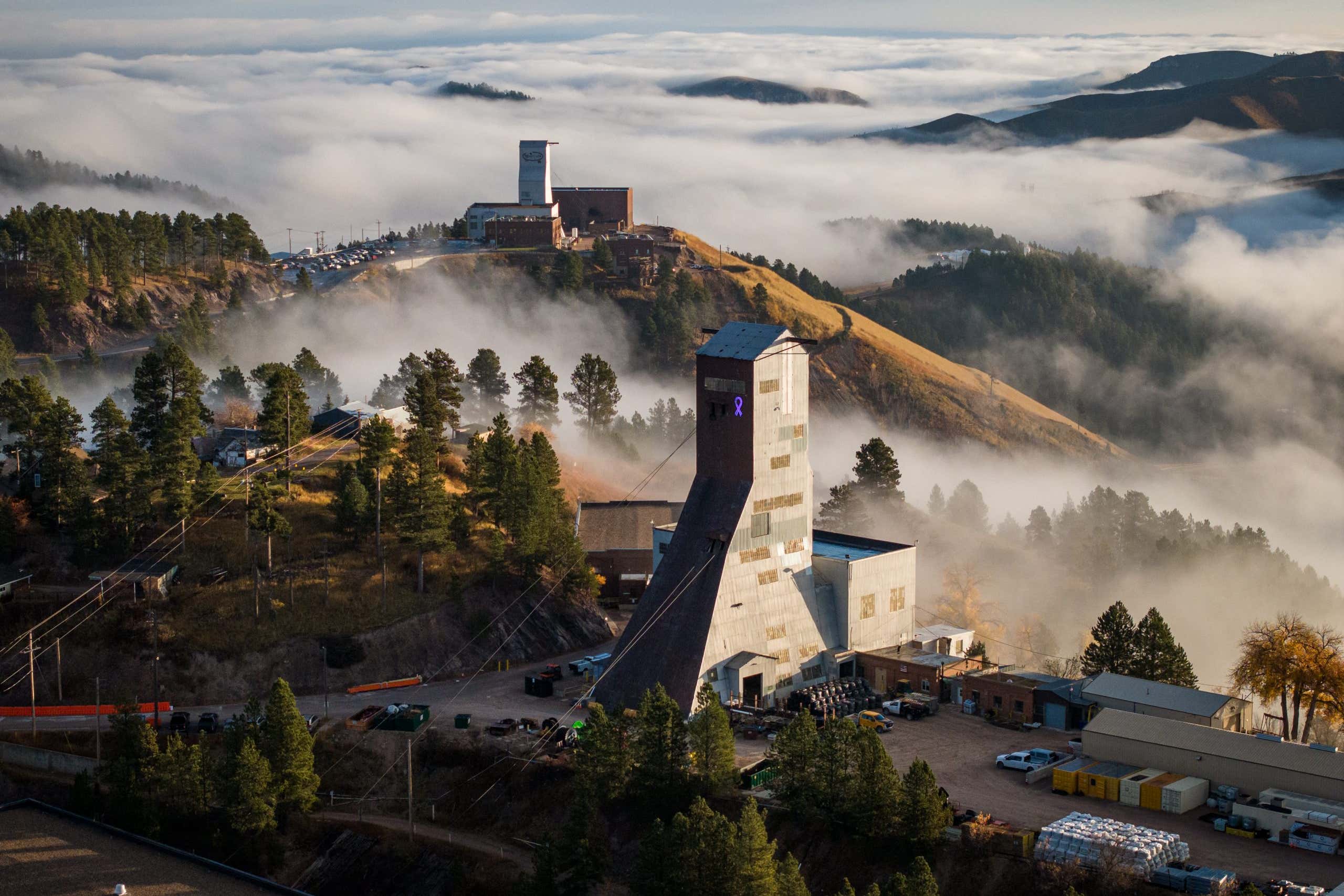 New Scientist. Science news and long reads from expert journalists, covering developments in science, technology, health and the environment on the website and the magazine.