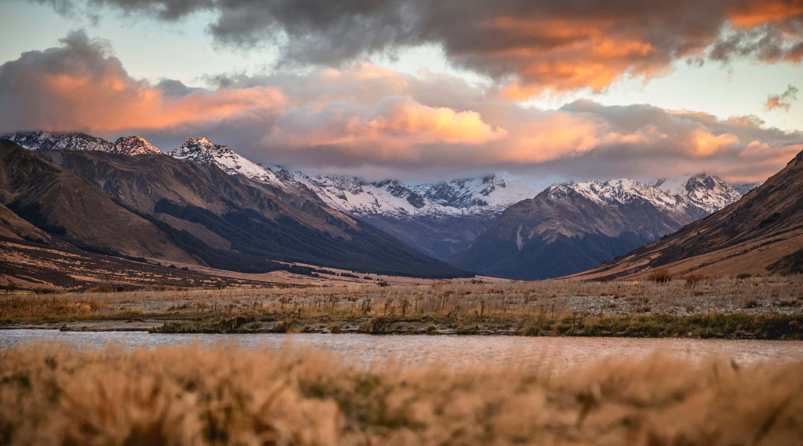 New Scientist. Science news and long reads from expert journalists, covering developments in science, technology, health and the environment on the website and the magazine.