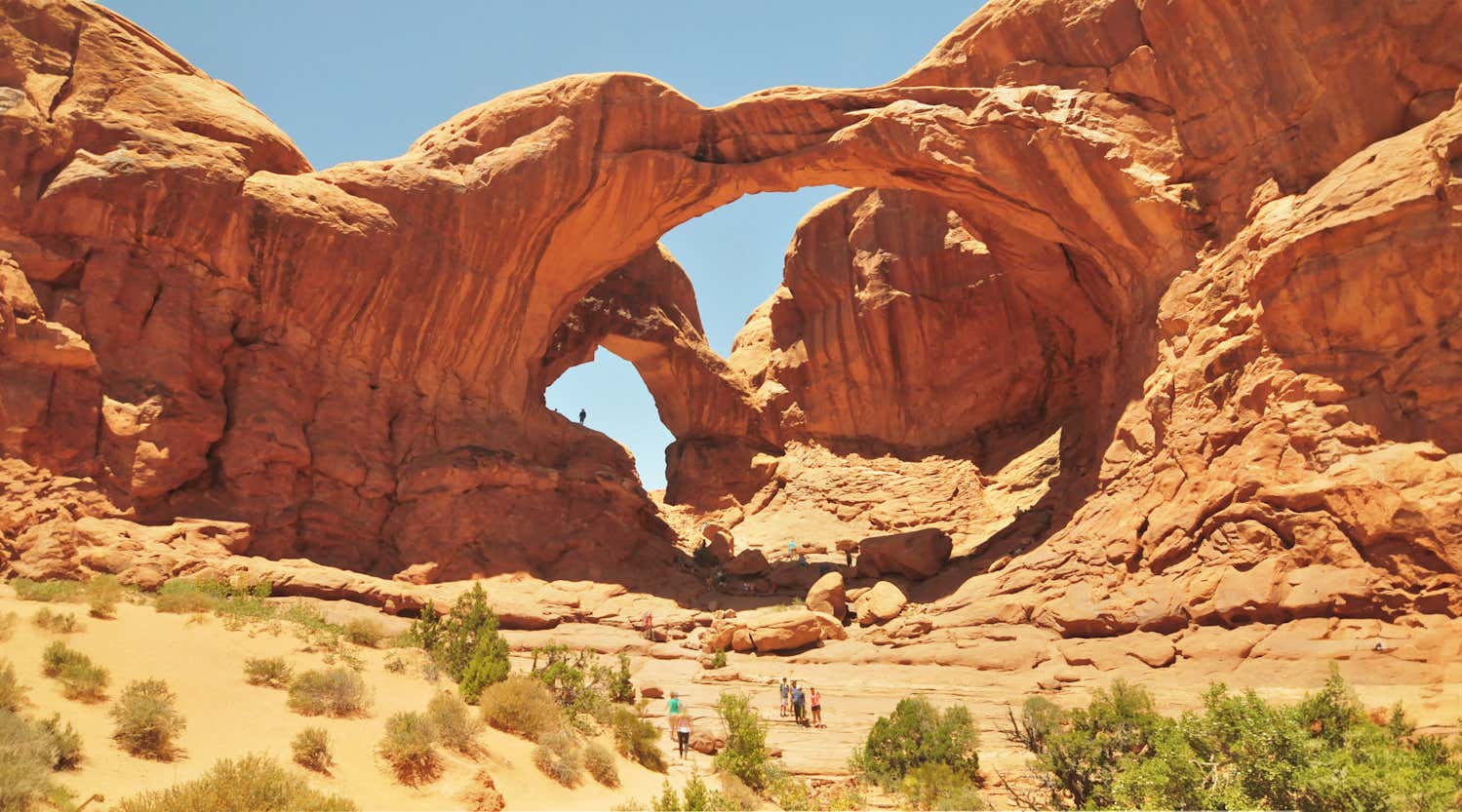 New Scientist. Science news and long reads from expert journalists, covering developments in science, technology, health and the environment on the website and the magazine.