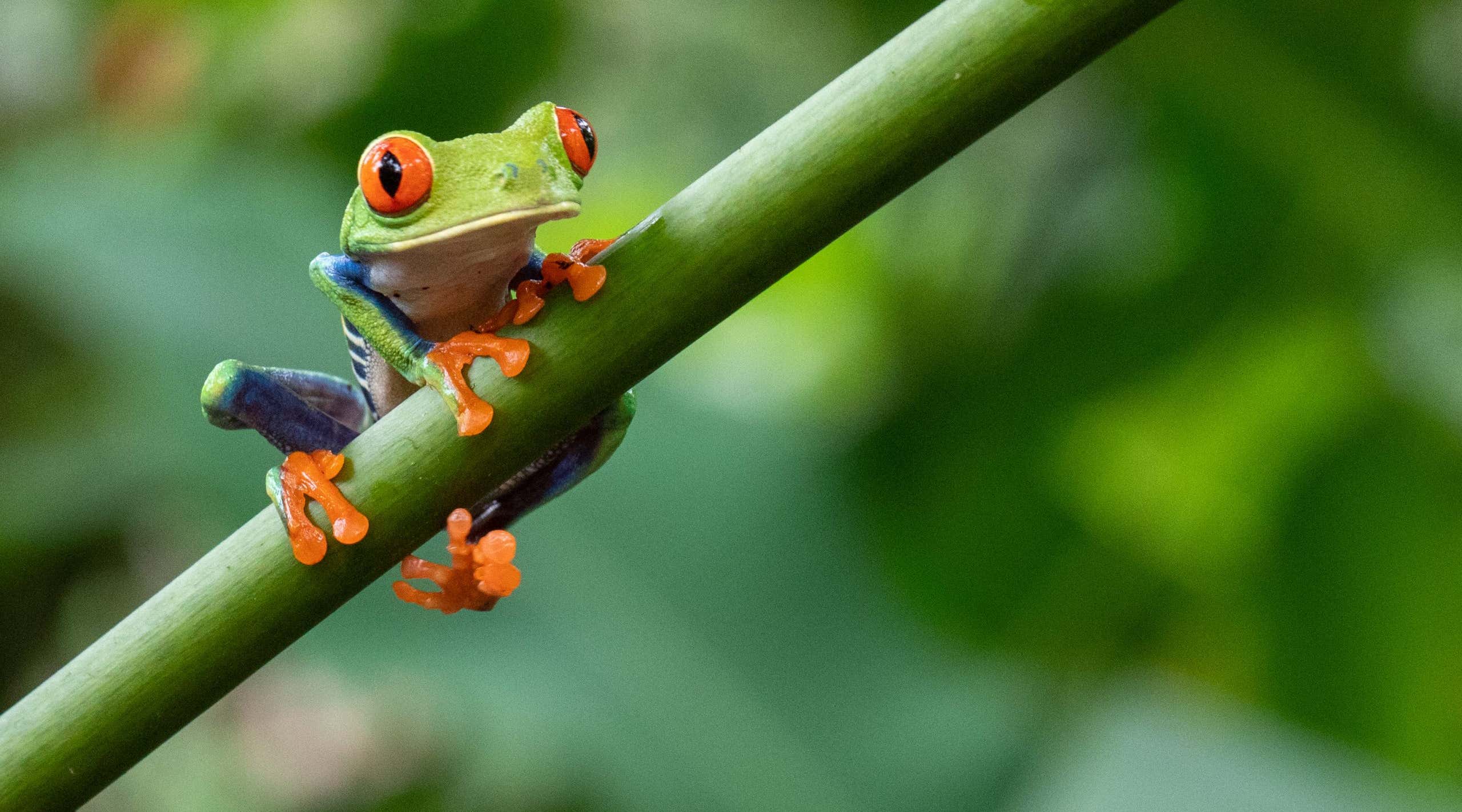 New Scientist. Science news and long reads from expert journalists, covering developments in science, technology, health and the environment on the website and the magazine.