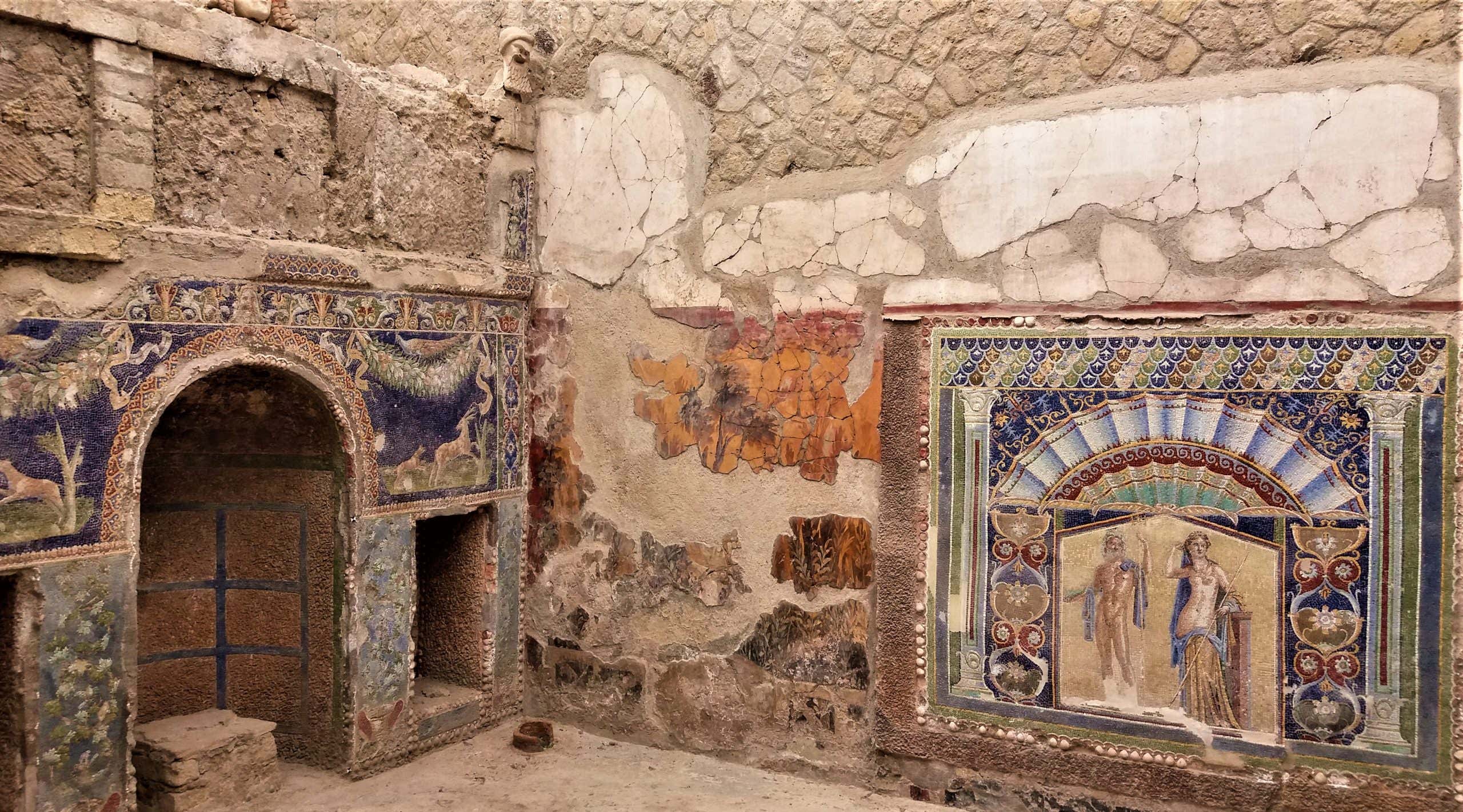 New Scientist. Science news and long reads from expert journalists, covering developments in science, technology, health and the environment on the website and the magazine.