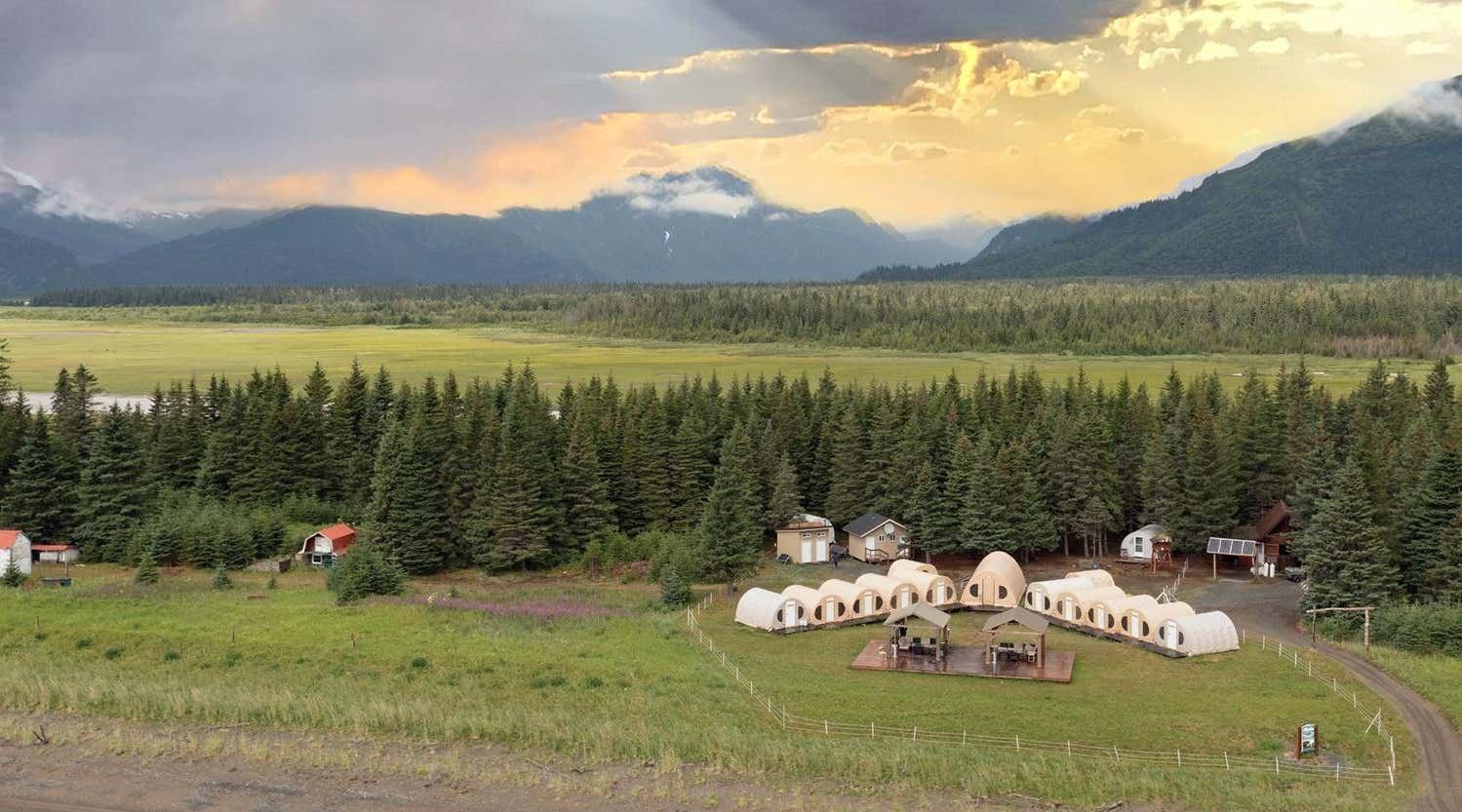 New Scientist. Science news and long reads from expert journalists, covering developments in science, technology, health and the environment on the website and the magazine.