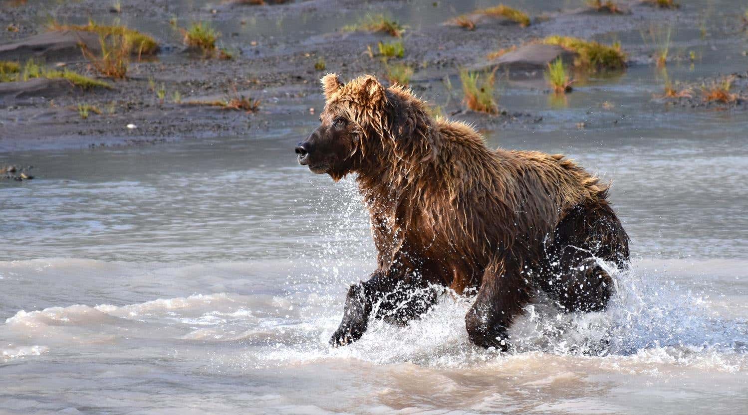 New Scientist. Science news and long reads from expert journalists, covering developments in science, technology, health and the environment on the website and the magazine.