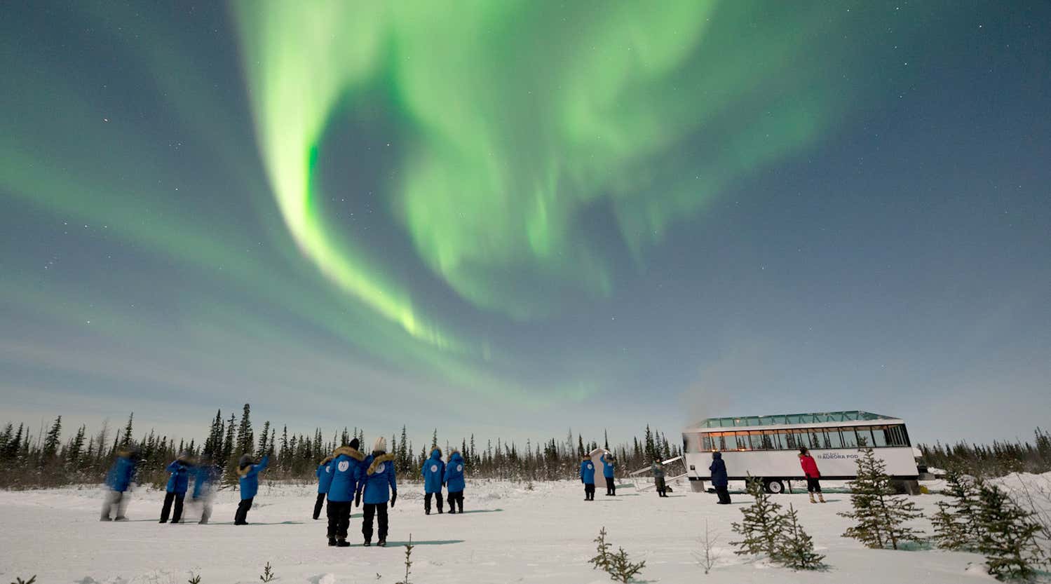 New Scientist. Science news and long reads from expert journalists, covering developments in science, technology, health and the environment on the website and the magazine.
