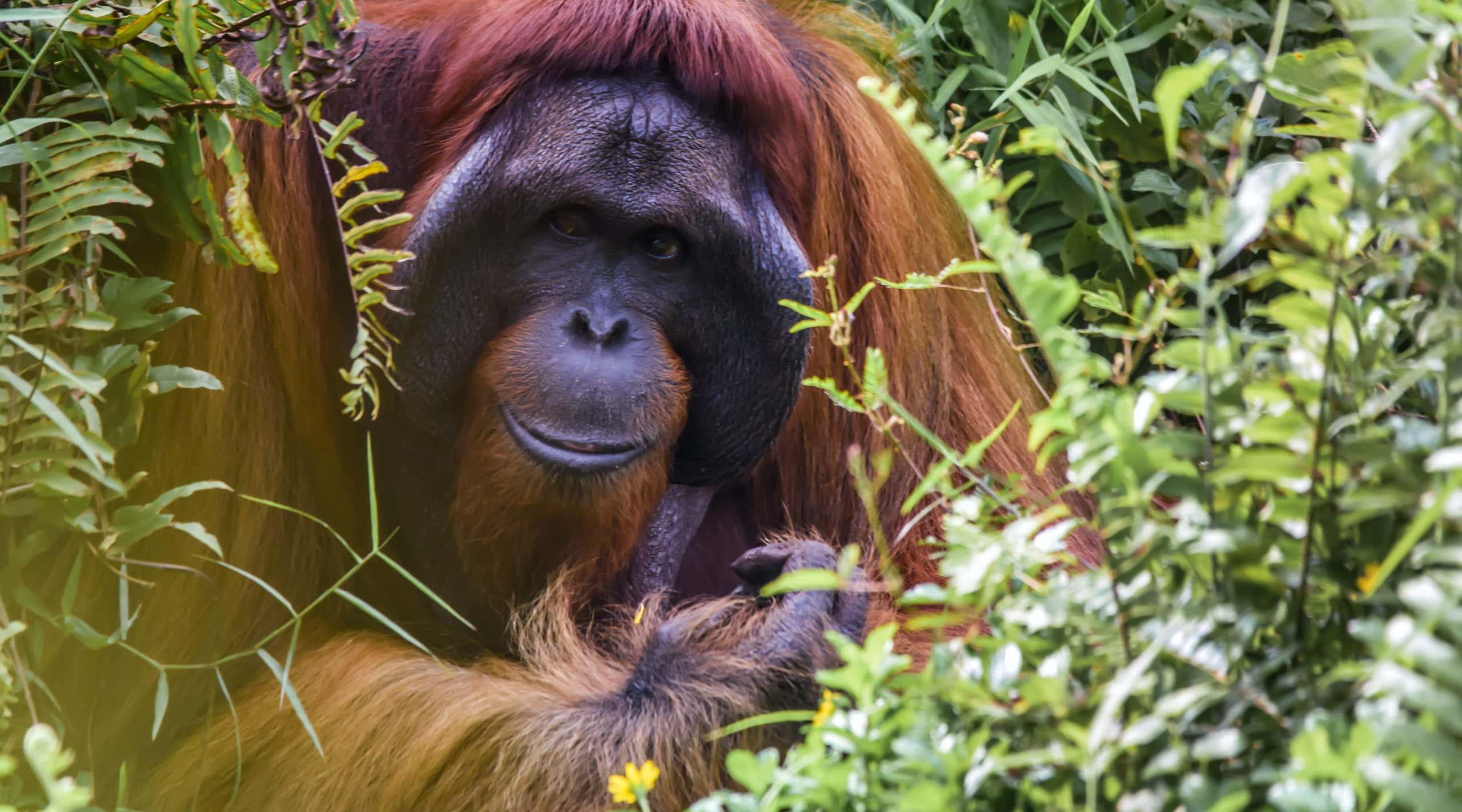 New Scientist. Science news and long reads from expert journalists, covering developments in science, technology, health and the environment on the website and the magazine.