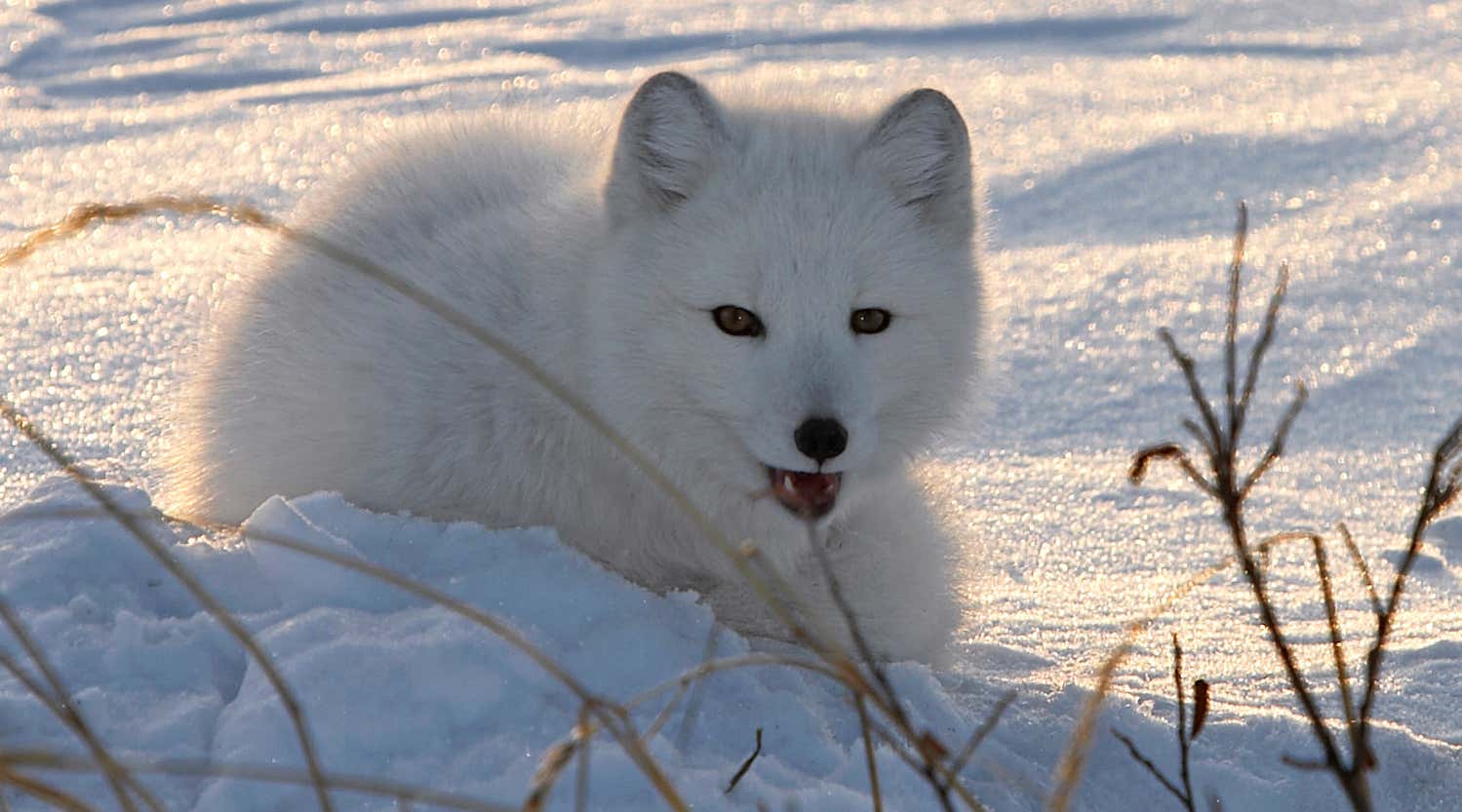 New Scientist. Science news and long reads from expert journalists, covering developments in science, technology, health and the environment on the website and the magazine.