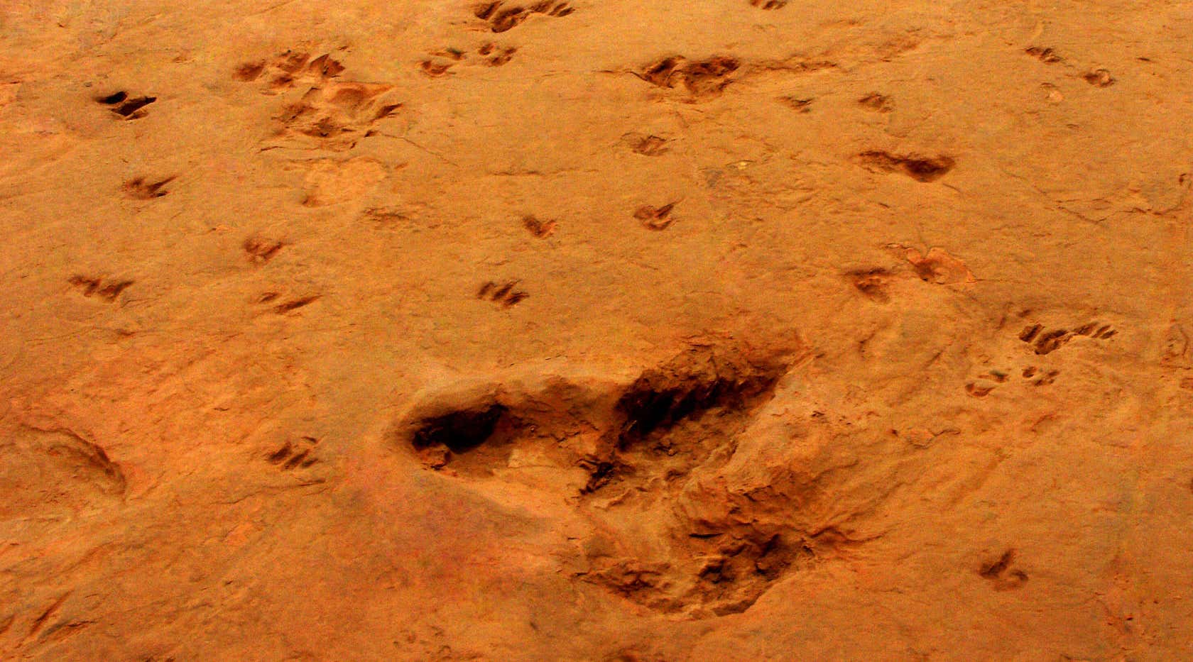 New Scientist. Science news and long reads from expert journalists, covering developments in science, technology, health and the environment on the website and the magazine.