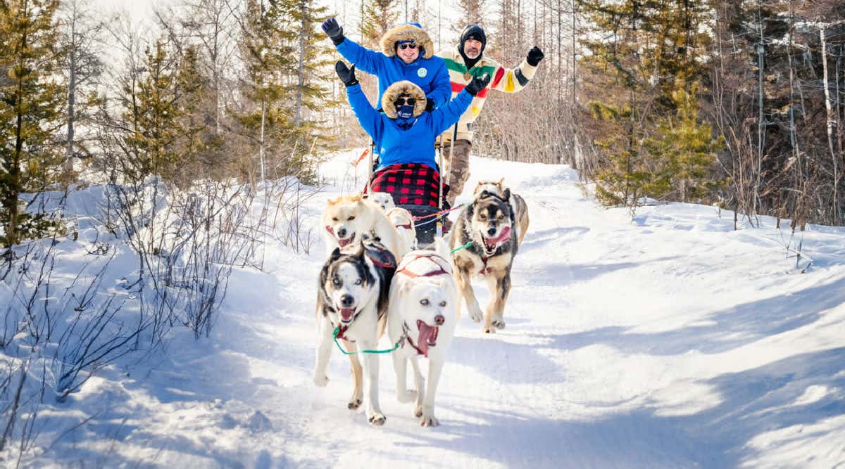 New Scientist. Science news and long reads from expert journalists, covering developments in science, technology, health and the environment on the website and the magazine.