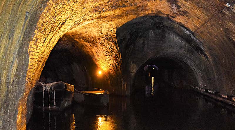 New Scientist. Science news and long reads from expert journalists, covering developments in science, technology, health and the environment on the website and the magazine.