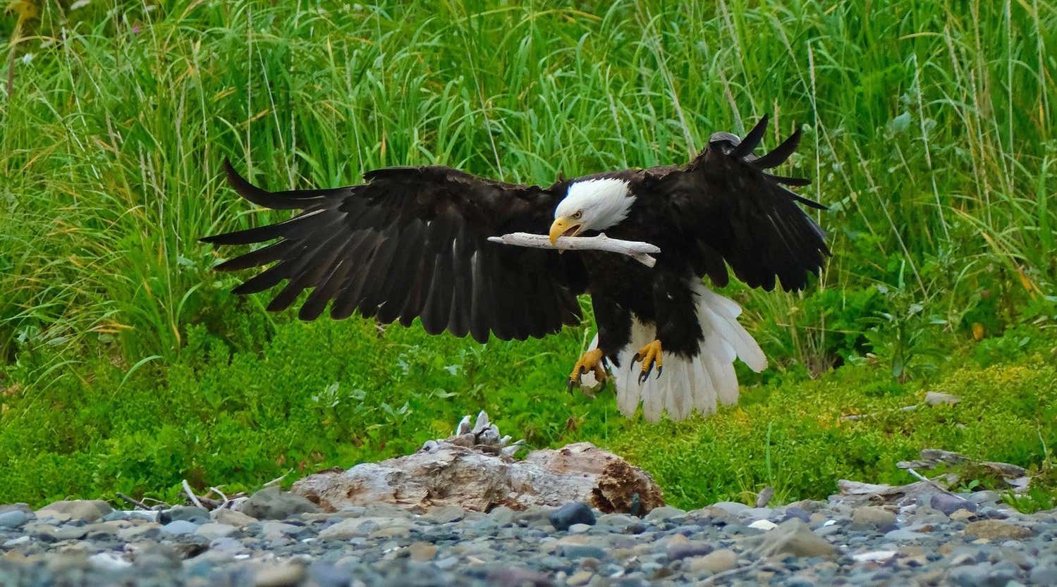 New Scientist. Science news and long reads from expert journalists, covering developments in science, technology, health and the environment on the website and the magazine.