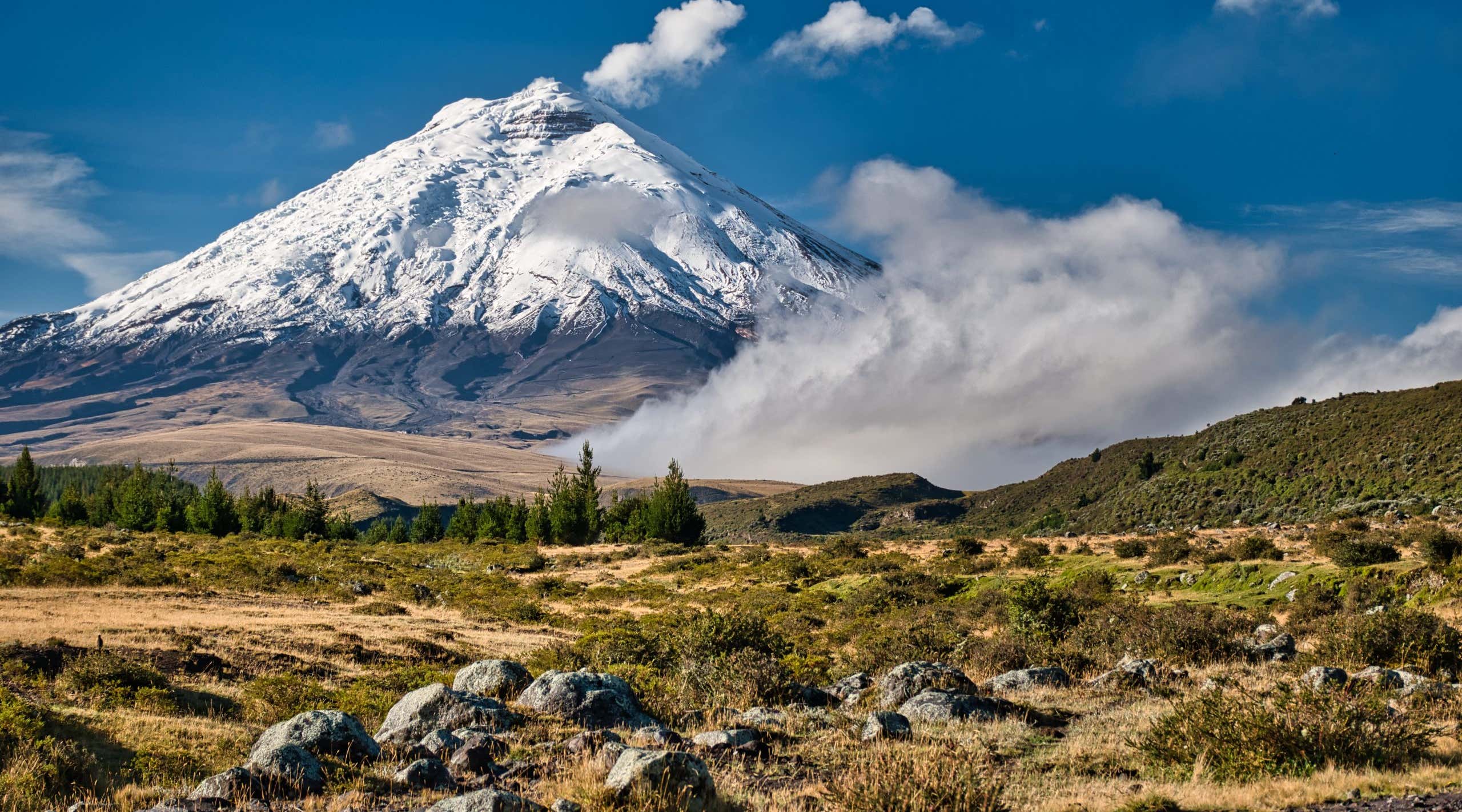 New Scientist. Science news and long reads from expert journalists, covering developments in science, technology, health and the environment on the website and the magazine.