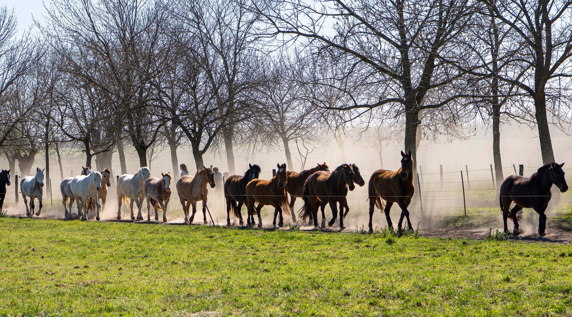New Scientist. Science news and long reads from expert journalists, covering developments in science, technology, health and the environment on the website and the magazine.