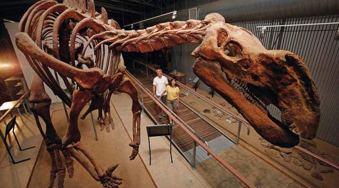 New Scientist. Science news and long reads from expert journalists, covering developments in science, technology, health and the environment on the website and the magazine.