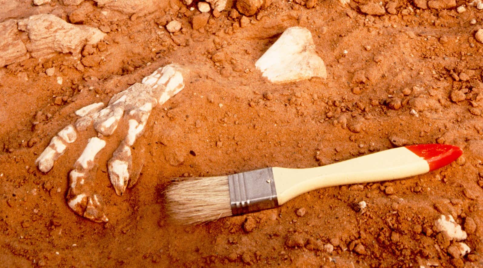 New Scientist. Science news and long reads from expert journalists, covering developments in science, technology, health and the environment on the website and the magazine.