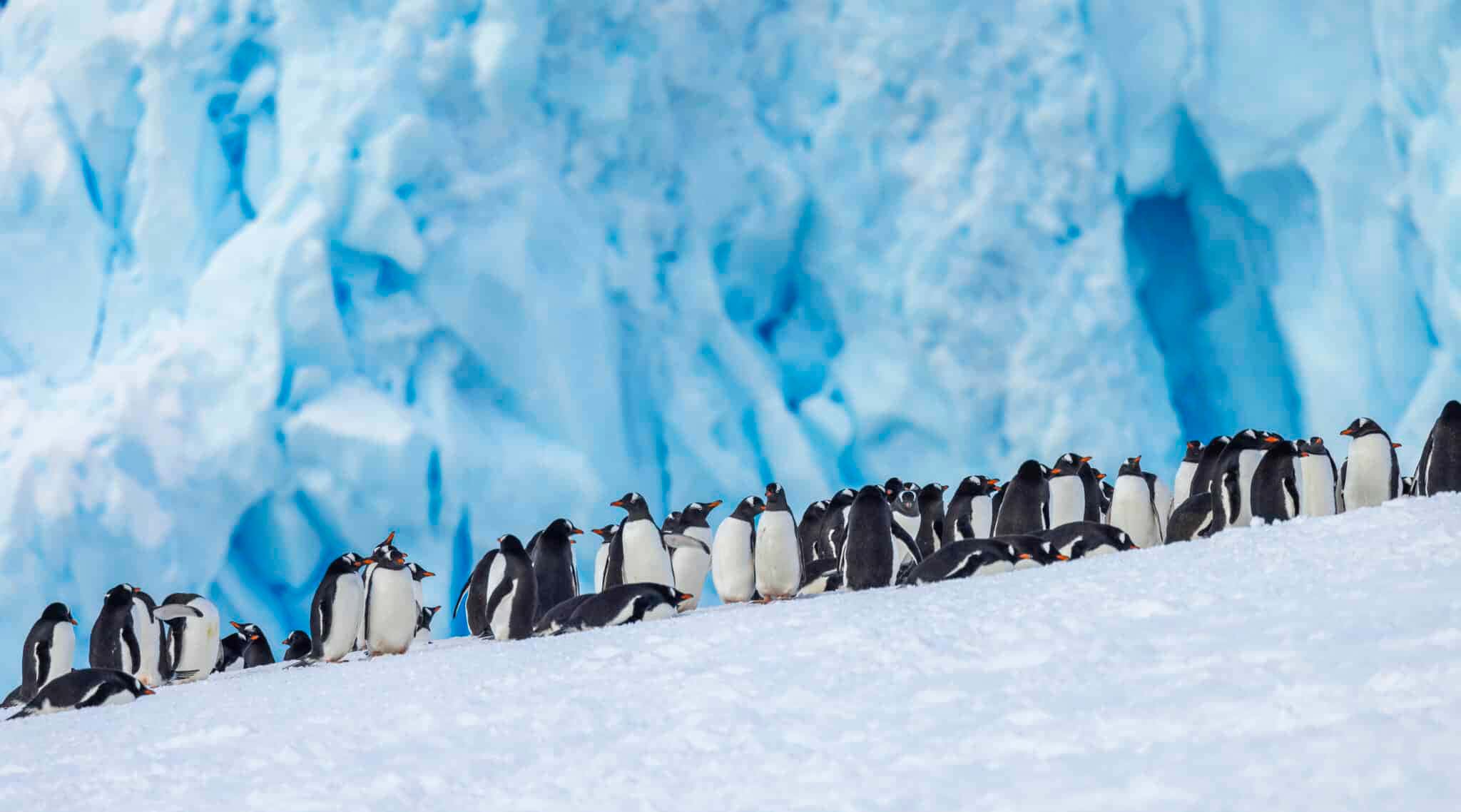 New Scientist. Science news and long reads from expert journalists, covering developments in science, technology, health and the environment on the website and the magazine.