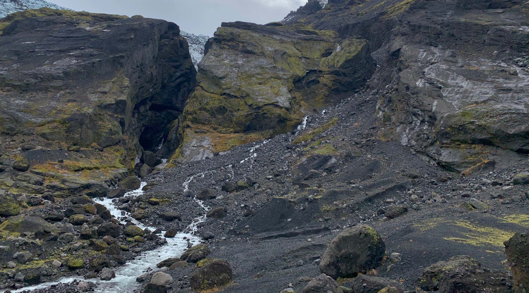 New Scientist. Science news and long reads from expert journalists, covering developments in science, technology, health and the environment on the website and the magazine.