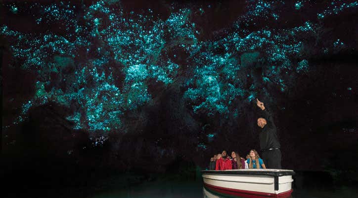 New Scientist. Science news and long reads from expert journalists, covering developments in science, technology, health and the environment on the website and the magazine.