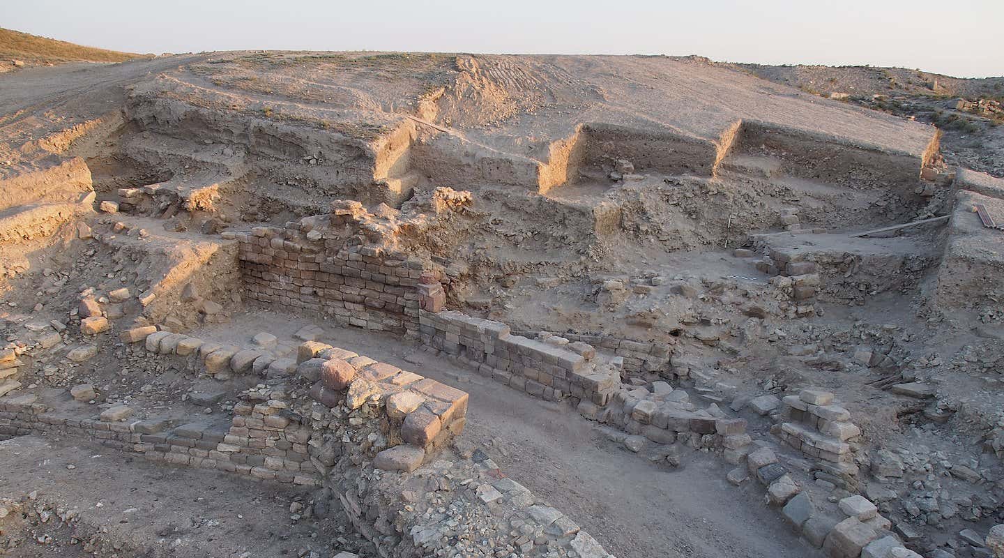 New Scientist. Science news and long reads from expert journalists, covering developments in science, technology, health and the environment on the website and the magazine.