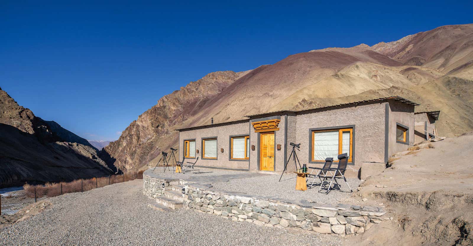 New Scientist. Science news and long reads from expert journalists, covering developments in science, technology, health and the environment on the website and the magazine.