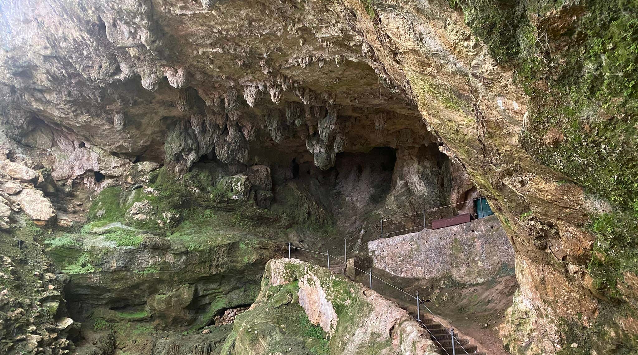 New Scientist. Science news and long reads from expert journalists, covering developments in science, technology, health and the environment on the website and the magazine.