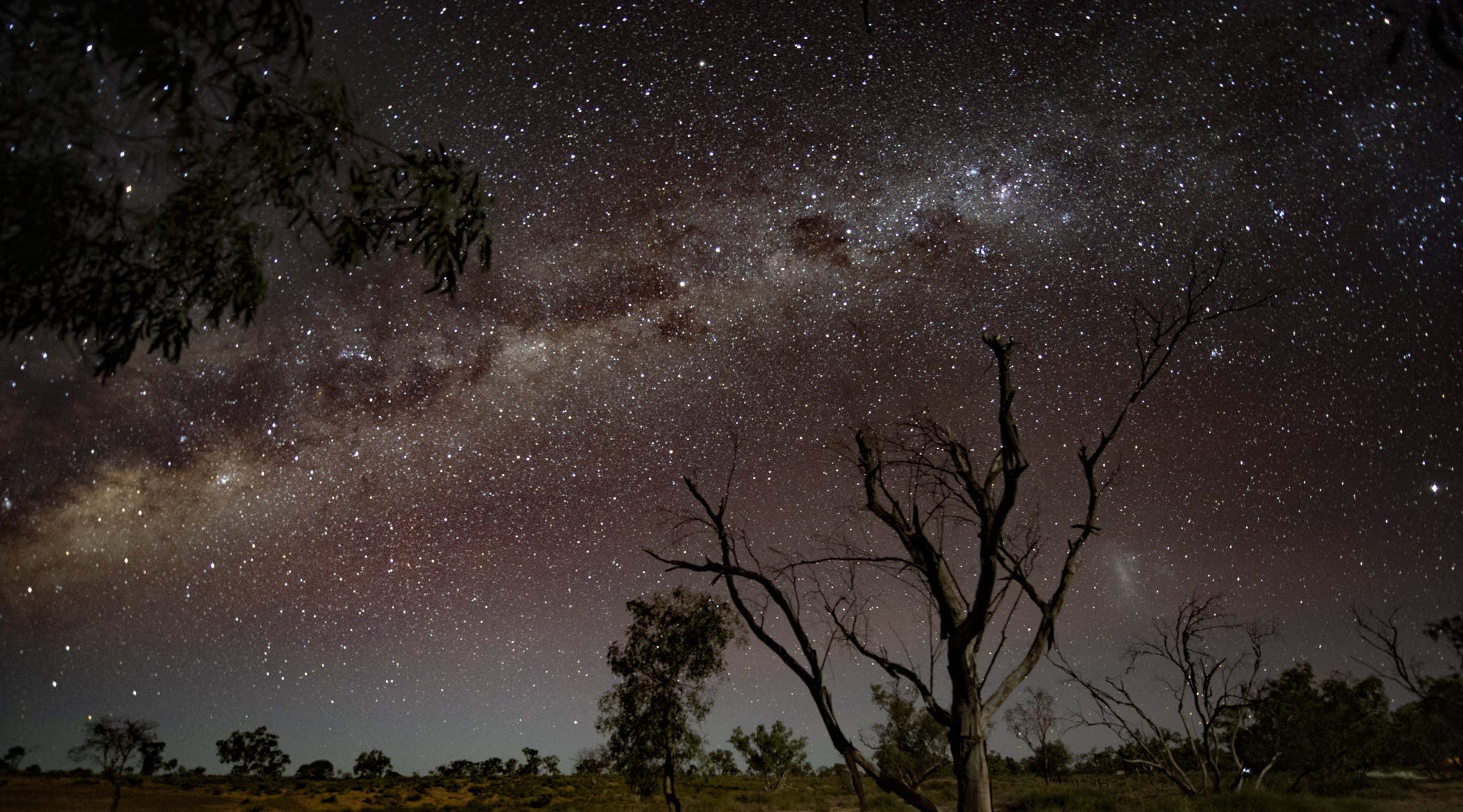 New Scientist. Science news and long reads from expert journalists, covering developments in science, technology, health and the environment on the website and the magazine.