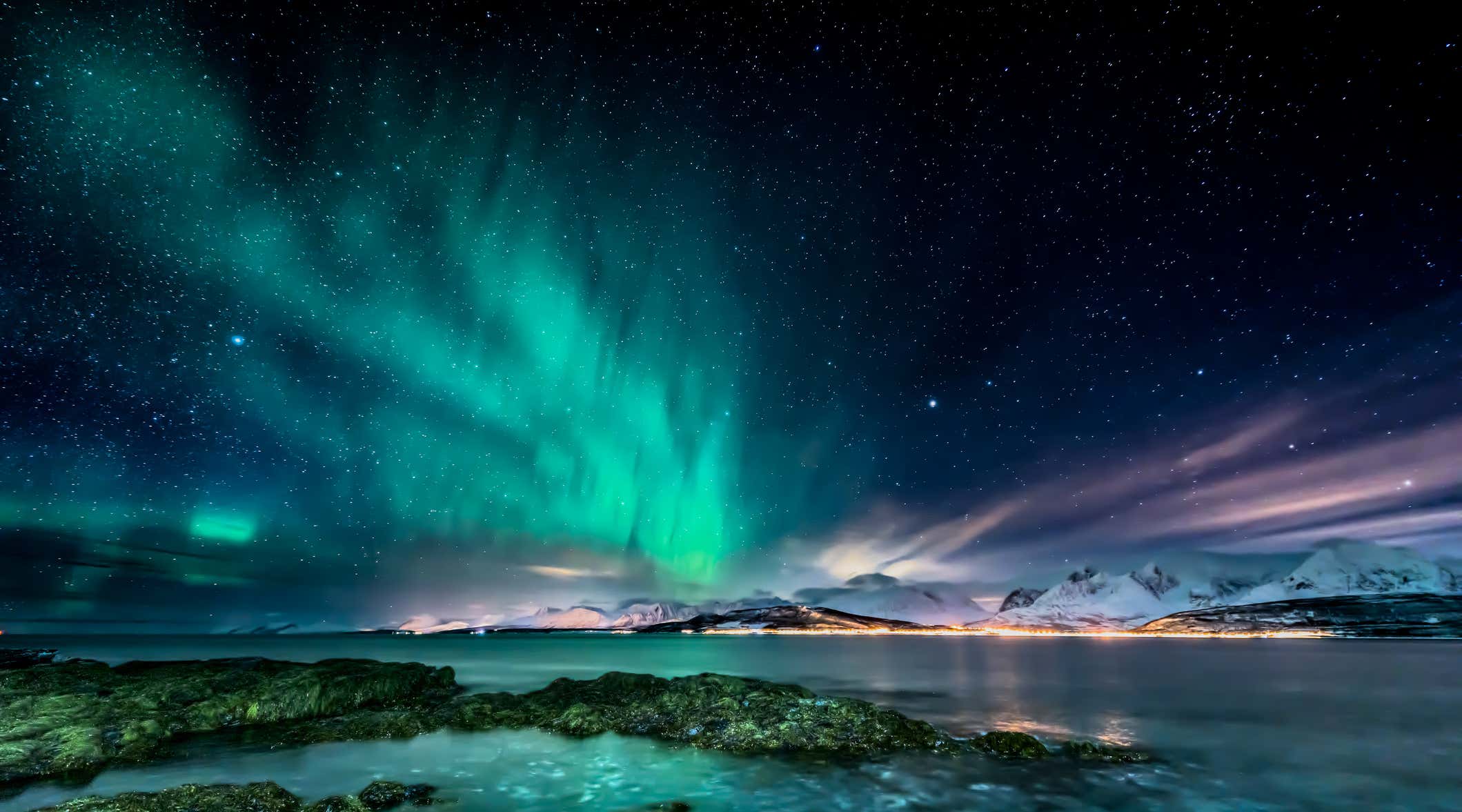 New Scientist. Science news and long reads from expert journalists, covering developments in science, technology, health and the environment on the website and the magazine.