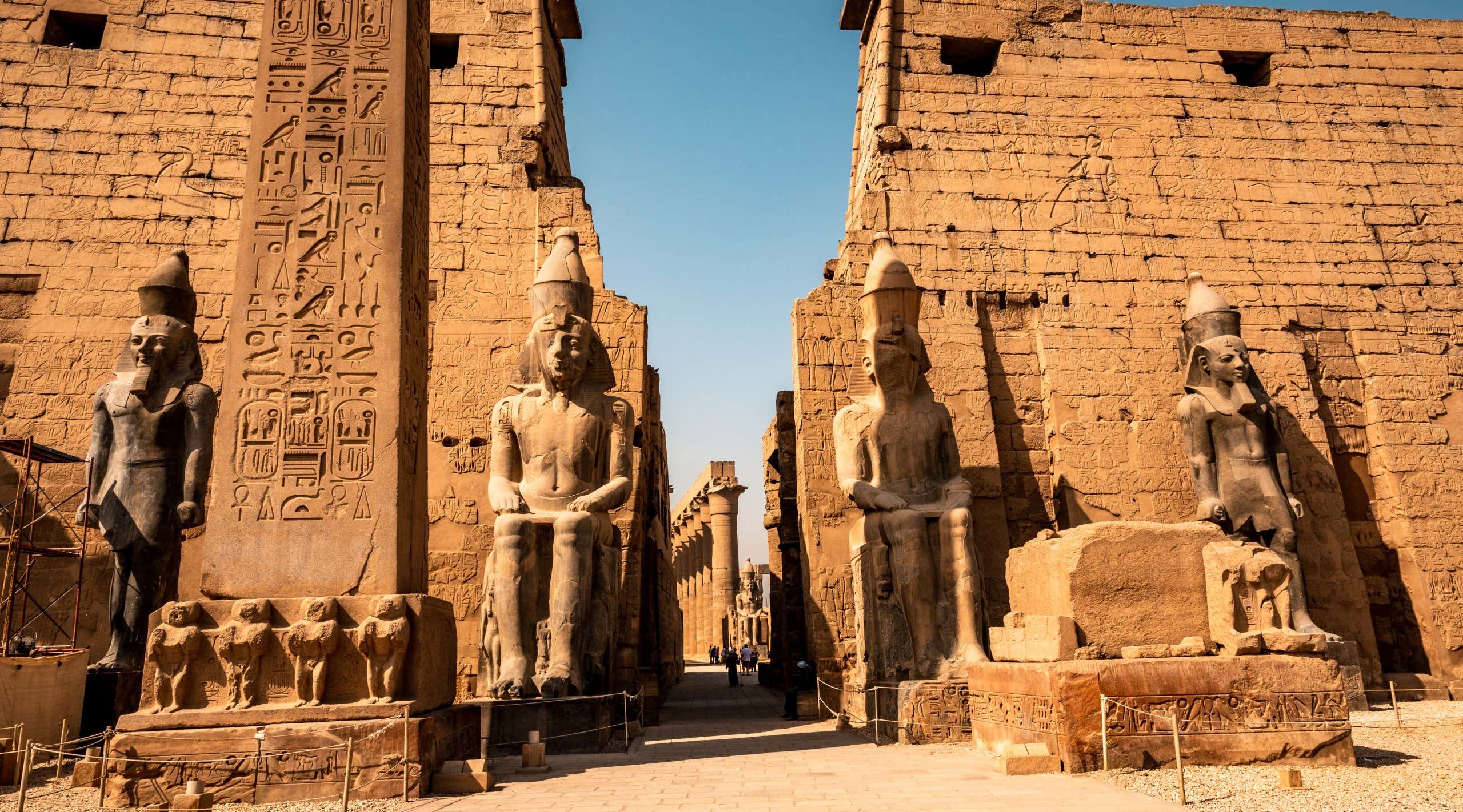 New Scientist. Science news and long reads from expert journalists, covering developments in science, technology, health and the environment on the website and the magazine.