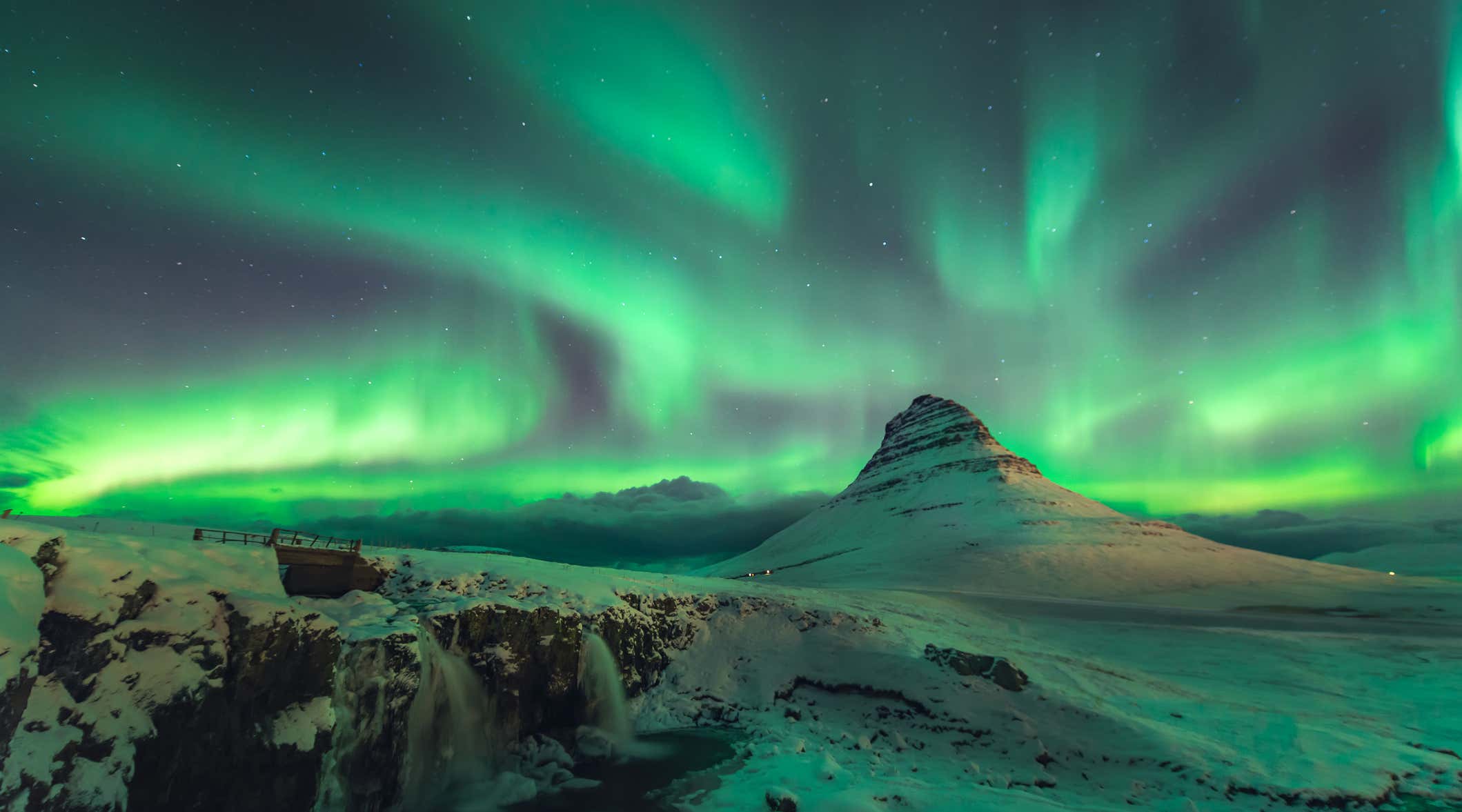 New Scientist. Science news and long reads from expert journalists, covering developments in science, technology, health and the environment on the website and the magazine.