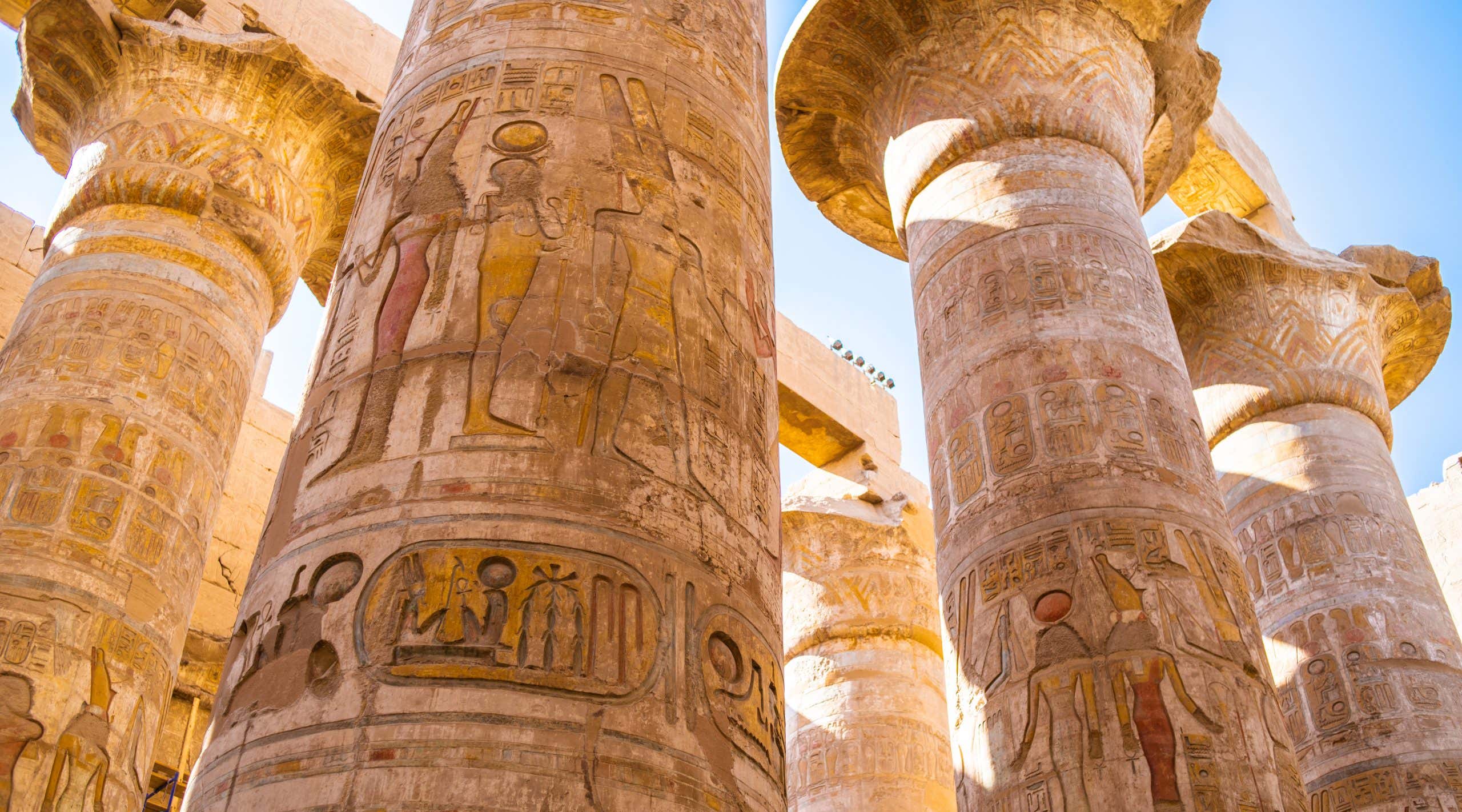 New Scientist. Science news and long reads from expert journalists, covering developments in science, technology, health and the environment on the website and the magazine.