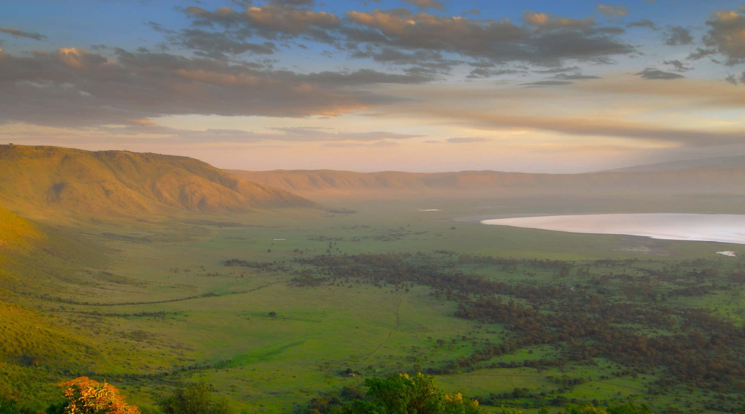 New Scientist. Science news and long reads from expert journalists, covering developments in science, technology, health and the environment on the website and the magazine.