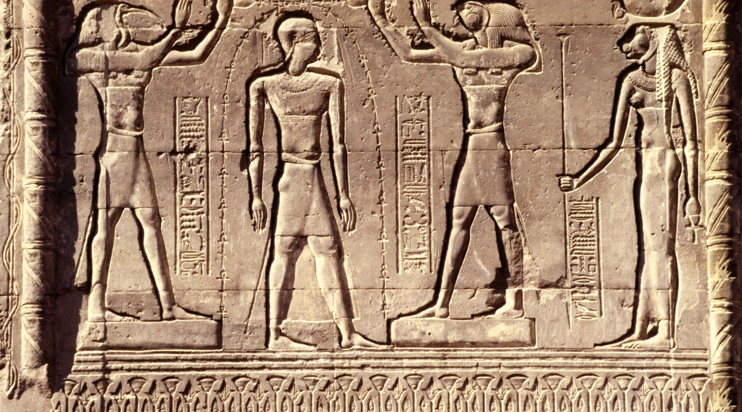 New Scientist. Science news and long reads from expert journalists, covering developments in science, technology, health and the environment on the website and the magazine.