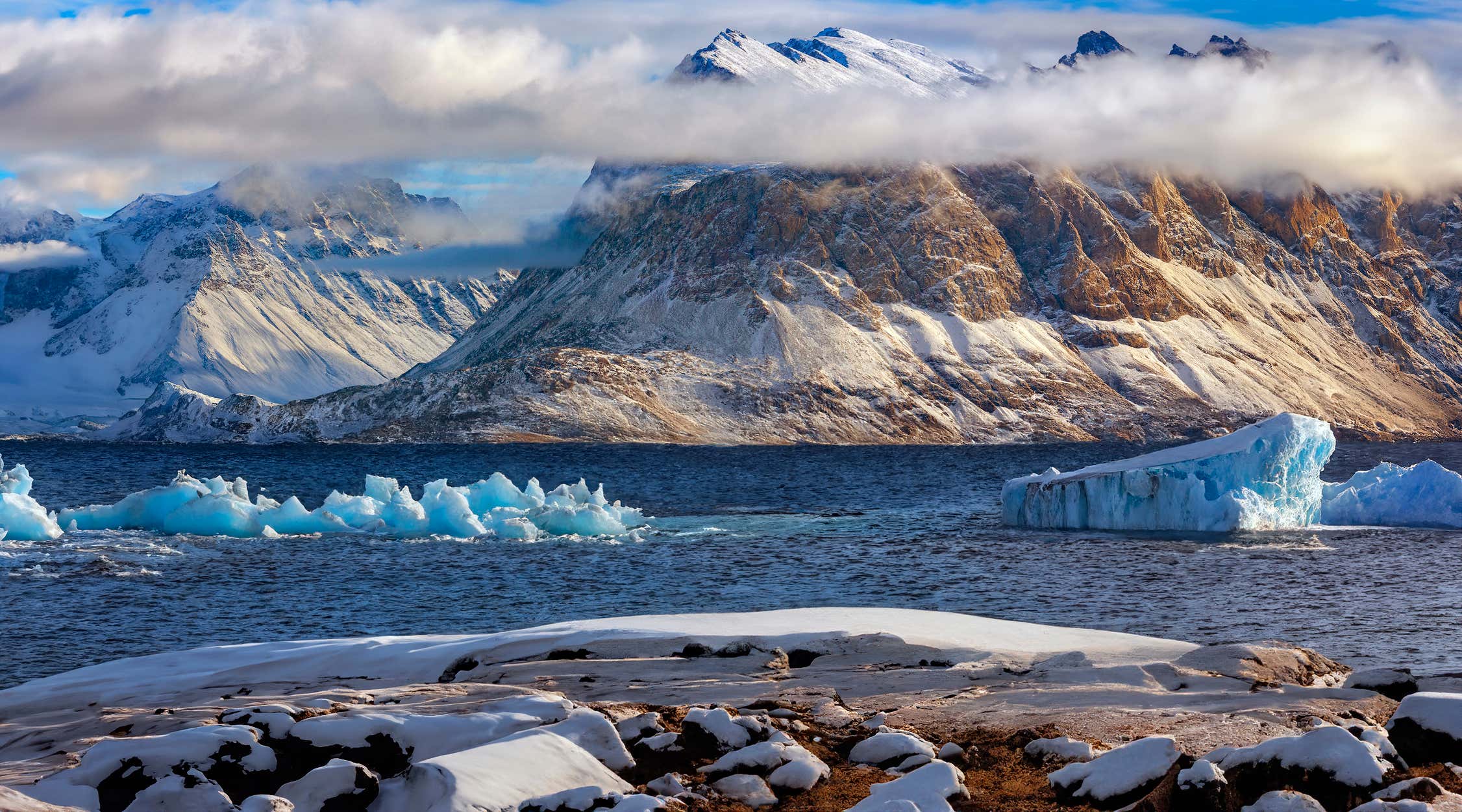 New Scientist. Science news and long reads from expert journalists, covering developments in science, technology, health and the environment on the website and the magazine.