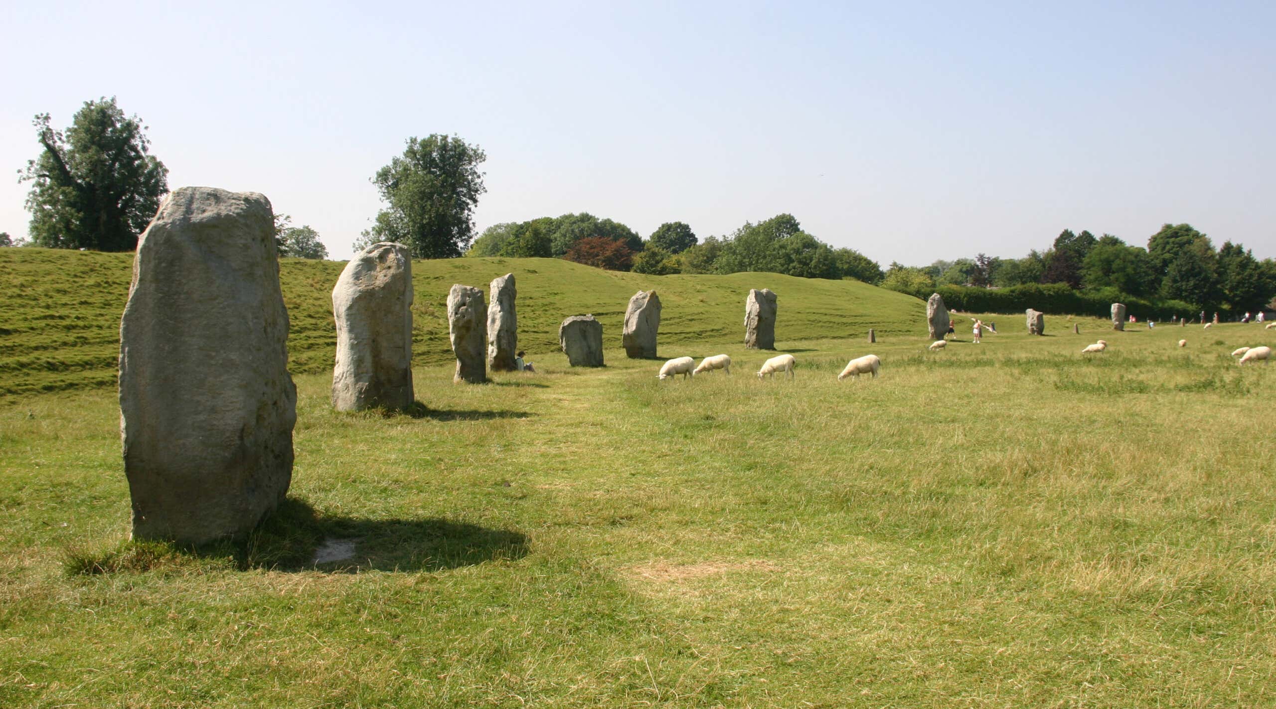 New Scientist. Science news and long reads from expert journalists, covering developments in science, technology, health and the environment on the website and the magazine.