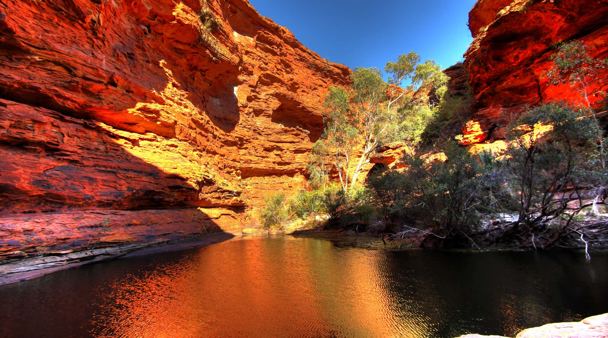 New Scientist. Science news and long reads from expert journalists, covering developments in science, technology, health and the environment on the website and the magazine.