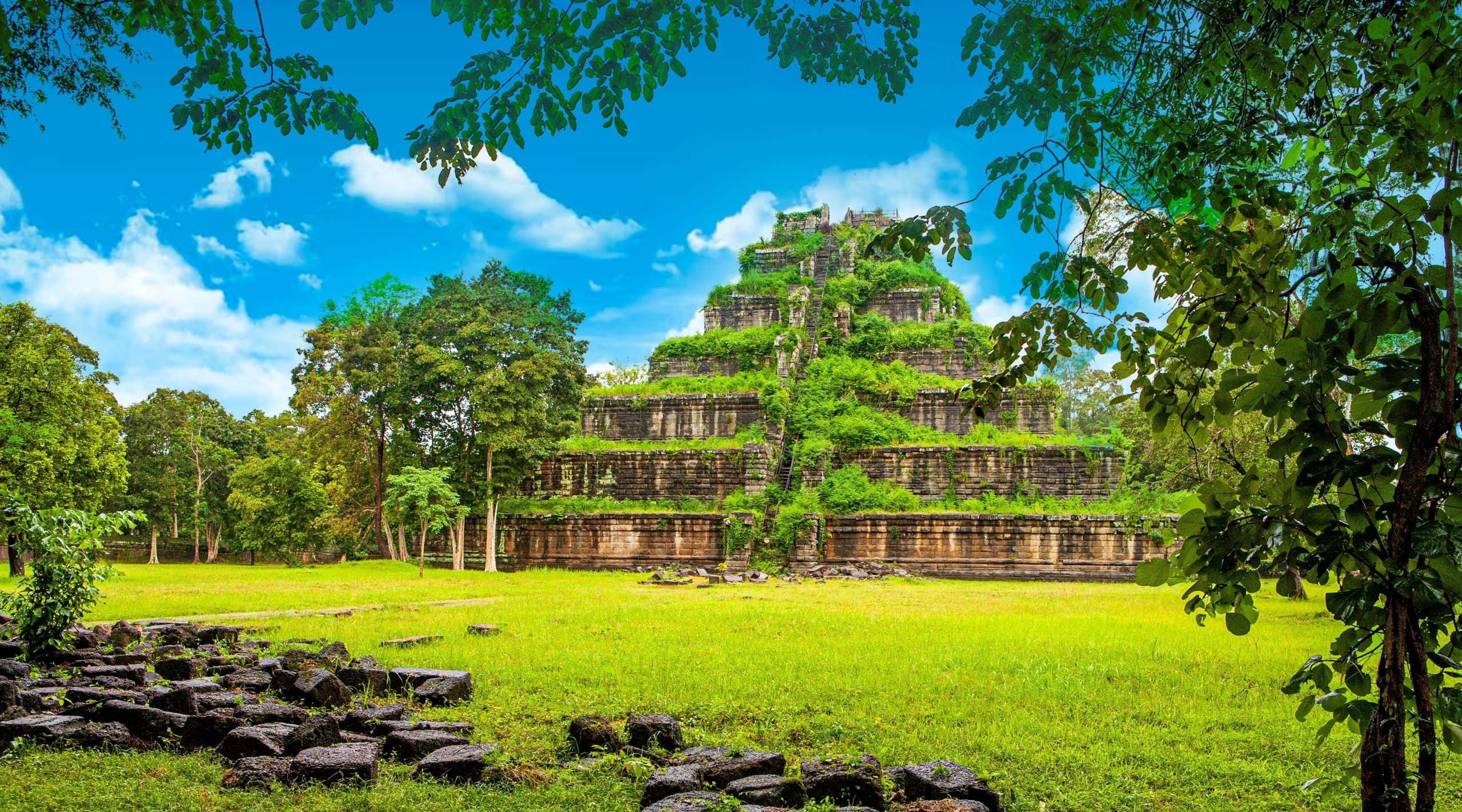 New Scientist. Science news and long reads from expert journalists, covering developments in science, technology, health and the environment on the website and the magazine.