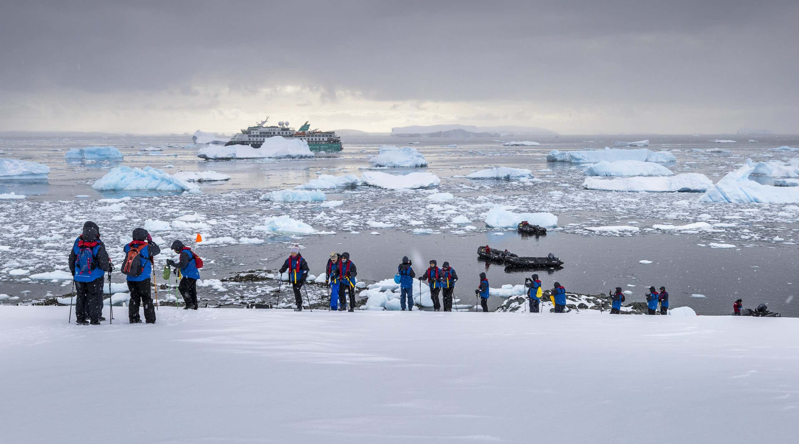 New Scientist. Science news and long reads from expert journalists, covering developments in science, technology, health and the environment on the website and the magazine.