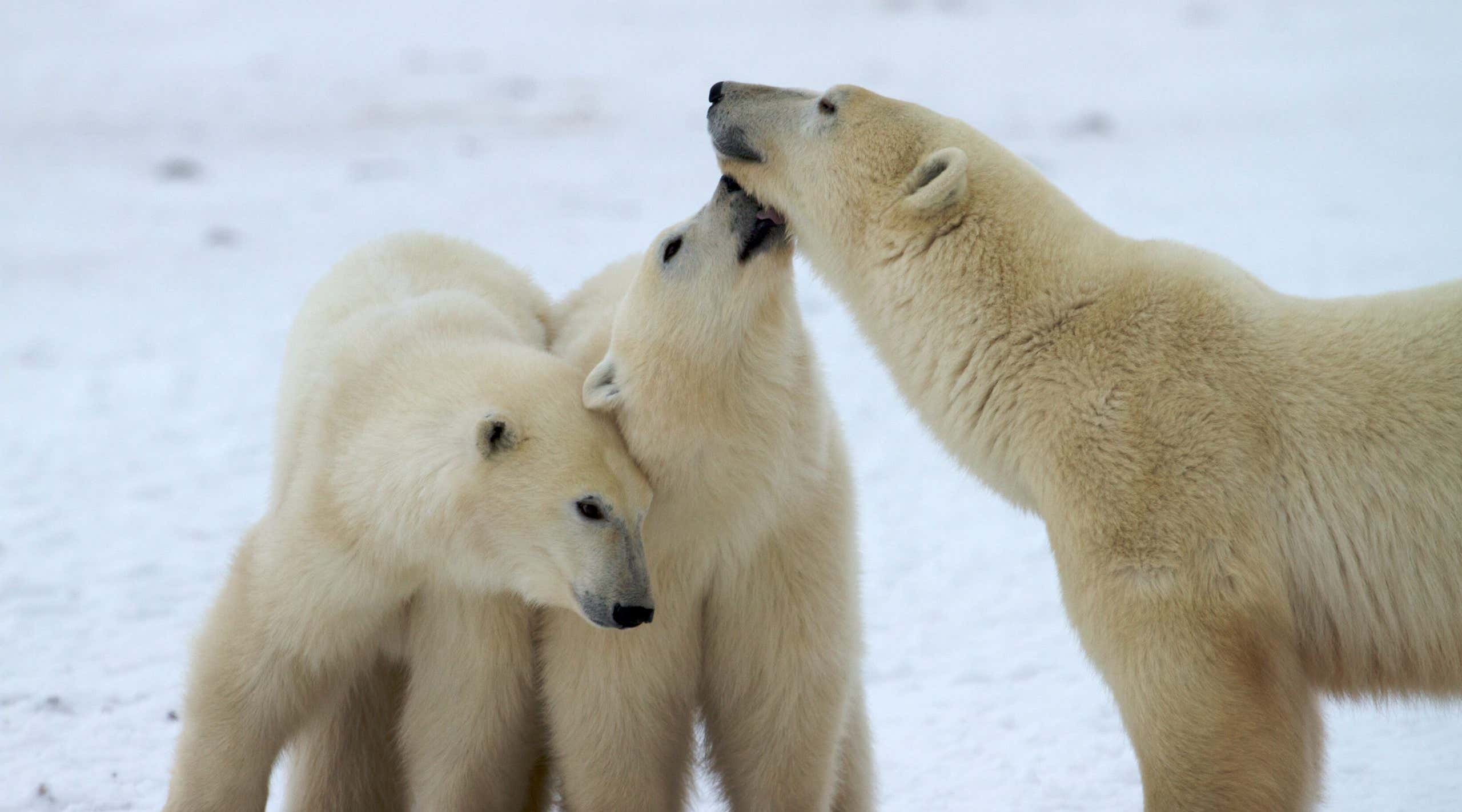 New Scientist. Science news and long reads from expert journalists, covering developments in science, technology, health and the environment on the website and the magazine.