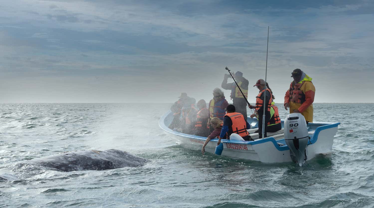 New Scientist. Science news and long reads from expert journalists, covering developments in science, technology, health and the environment on the website and the magazine.