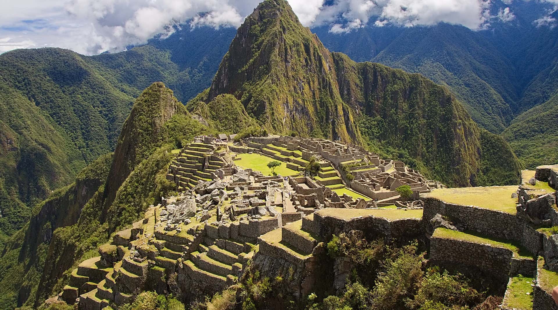 New Scientist. Science news and long reads from expert journalists, covering developments in science, technology, health and the environment on the website and the magazine.