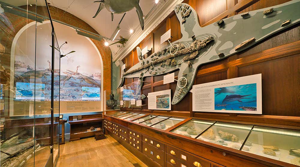 Interior image of the first floor at the Mary Anning museum, Lyme Regis, Dorset