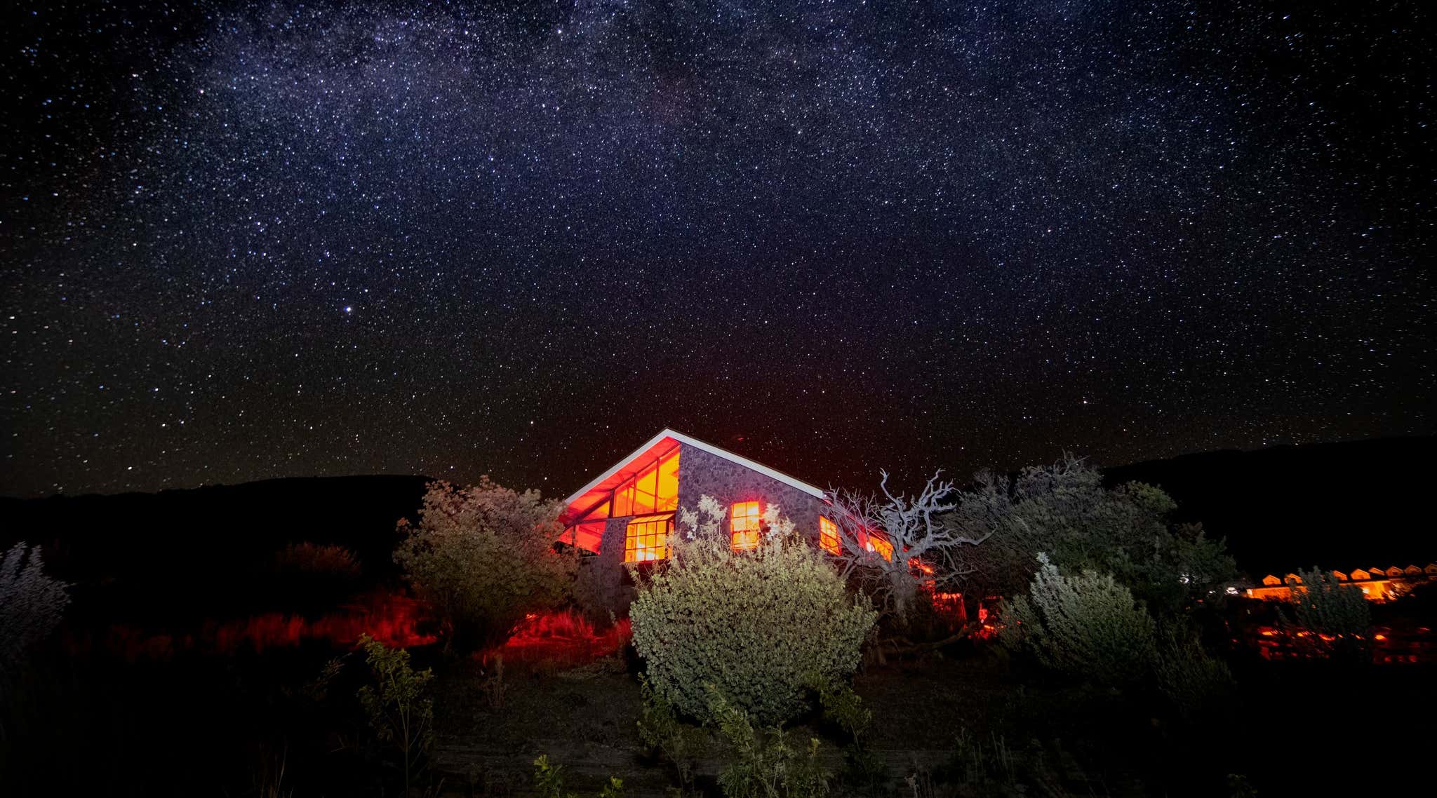 New Scientist. Science news and long reads from expert journalists, covering developments in science, technology, health and the environment on the website and the magazine.