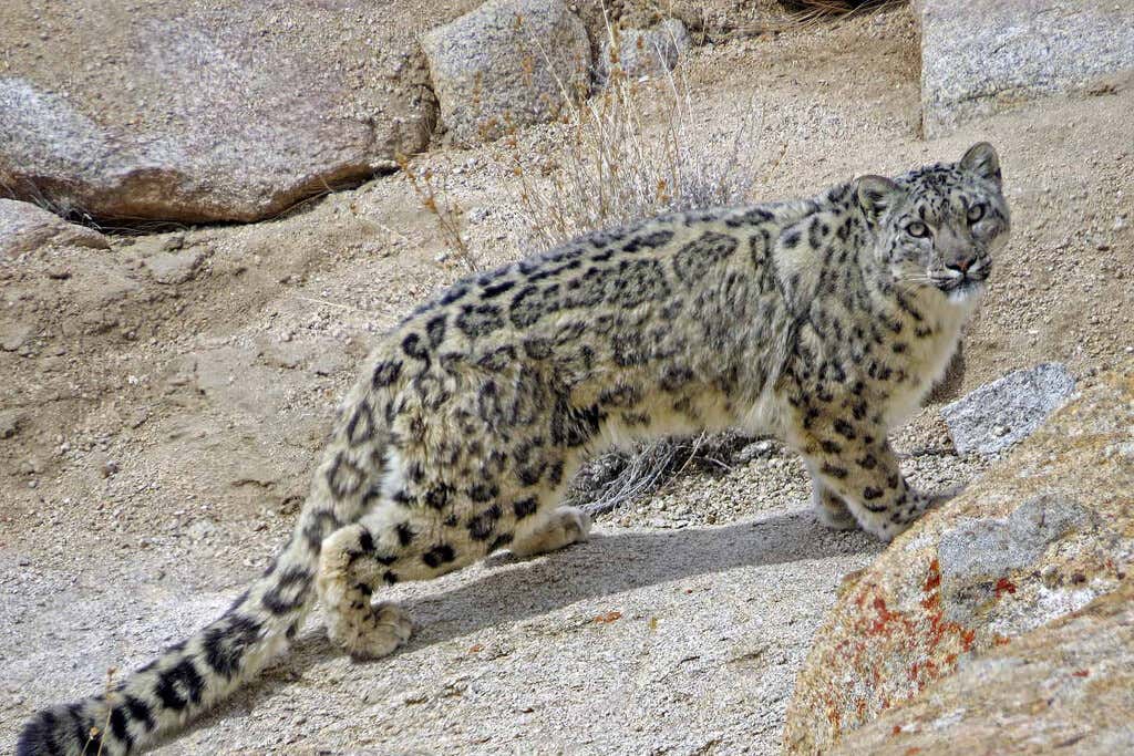 New Scientist. Science news and long reads from expert journalists, covering developments in science, technology, health and the environment on the website and the magazine.