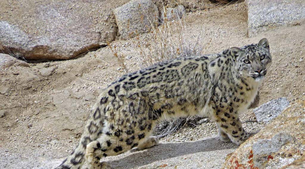 New Scientist. Science news and long reads from expert journalists, covering developments in science, technology, health and the environment on the website and the magazine.