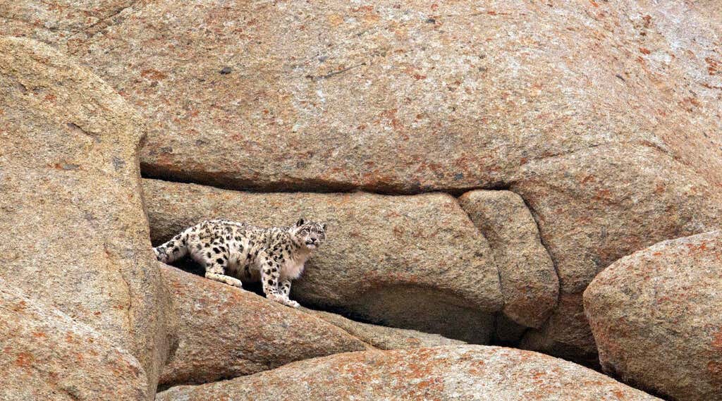 New Scientist. Science news and long reads from expert journalists, covering developments in science, technology, health and the environment on the website and the magazine.