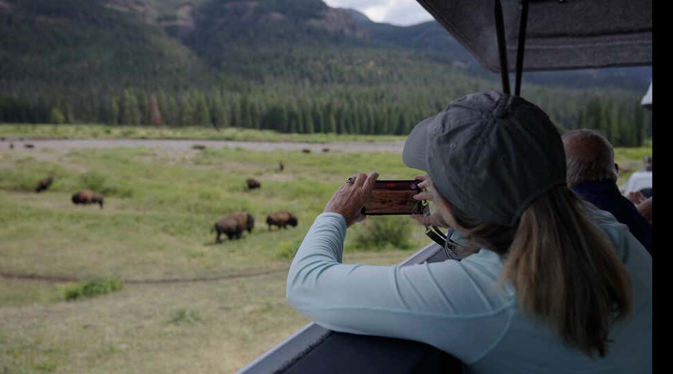 New Scientist. Science news and long reads from expert journalists, covering developments in science, technology, health and the environment on the website and the magazine.