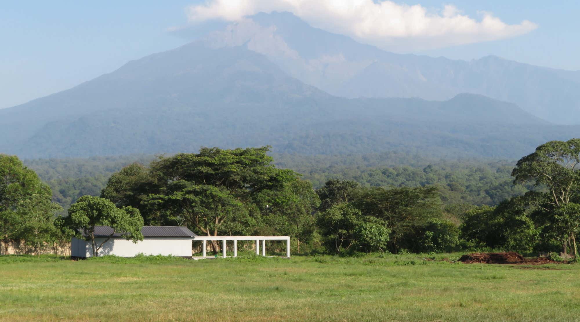 New Scientist. Science news and long reads from expert journalists, covering developments in science, technology, health and the environment on the website and the magazine.