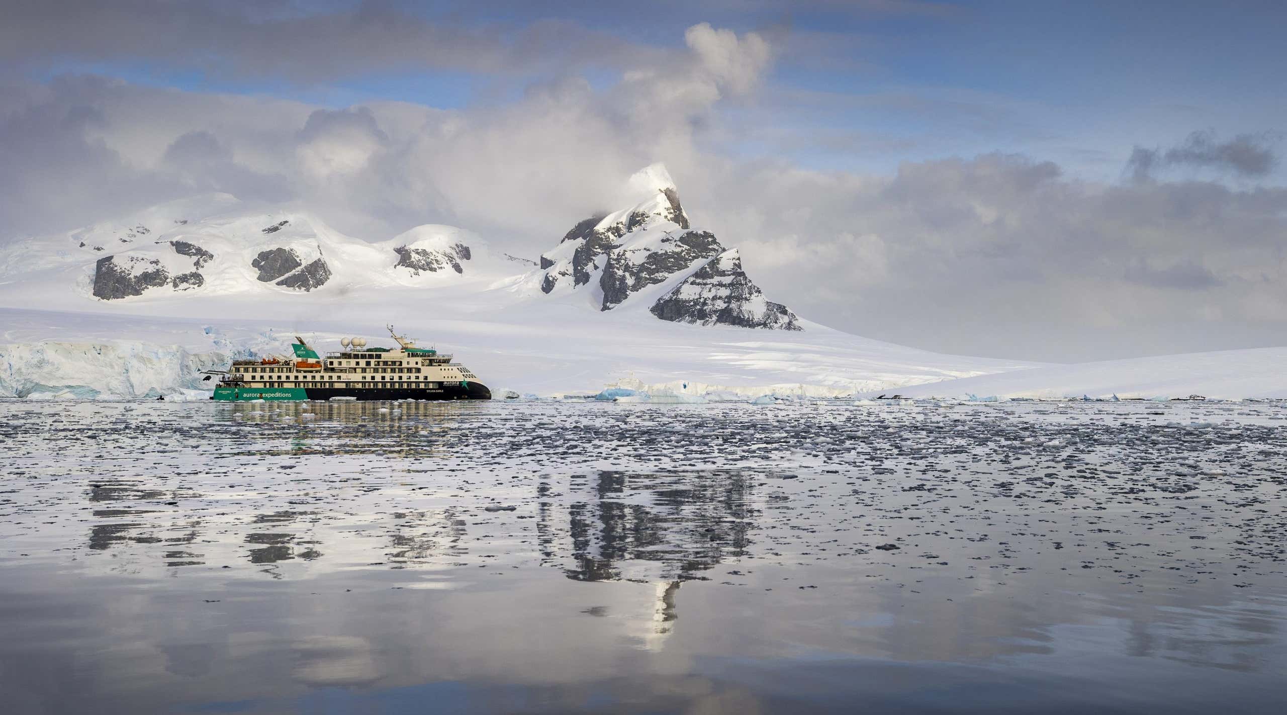 New Scientist. Science news and long reads from expert journalists, covering developments in science, technology, health and the environment on the website and the magazine.