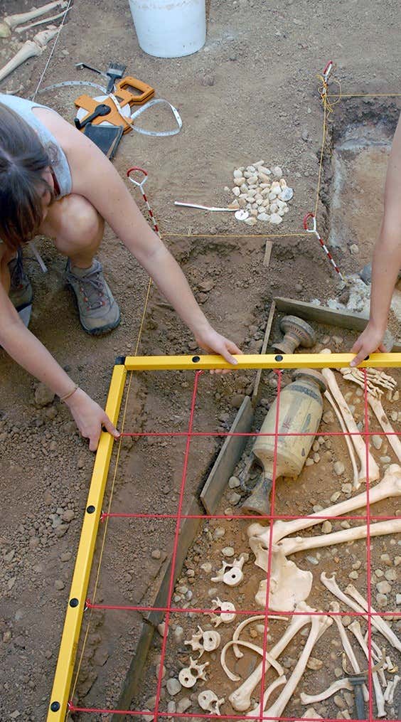 New Scientist. Science news and long reads from expert journalists, covering developments in science, technology, health and the environment on the website and the magazine.